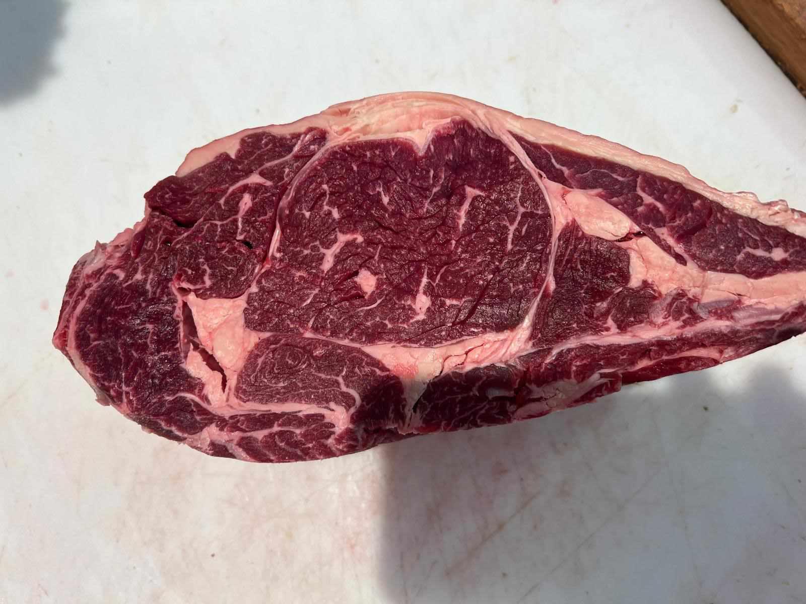 Bœuf Maturé Race Normande